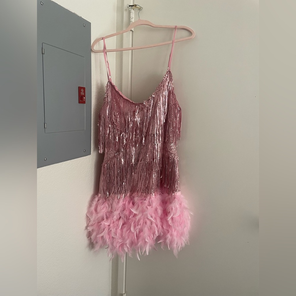 Sequin fringe tassle pink sparkly flapper dress with feathers!